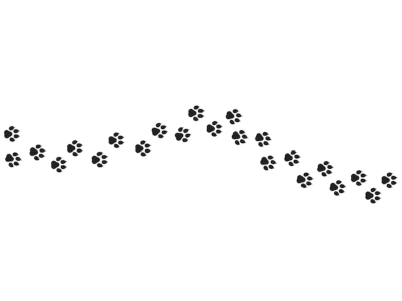 17dog-footprint-icon-set-pawprint-vector-on-isolated-white-background-eps-10_399089-2302.png