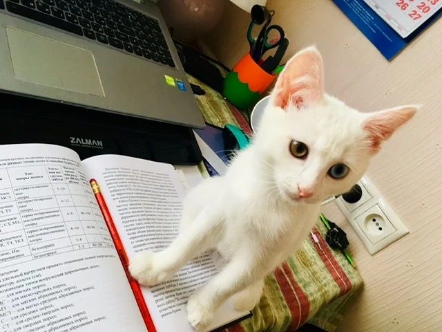 18. Астхик.jpeg