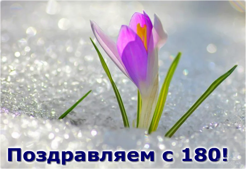 180 текстом.webp