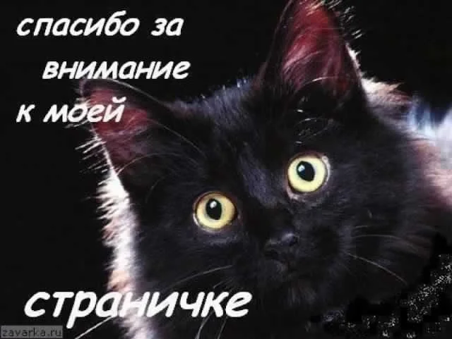 18186069.webp