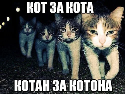 18195 — копия — копия.webp