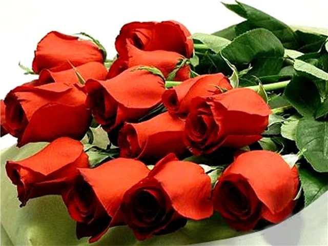 182dd50b4920.webp