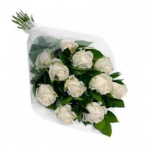 18554-1.webp
