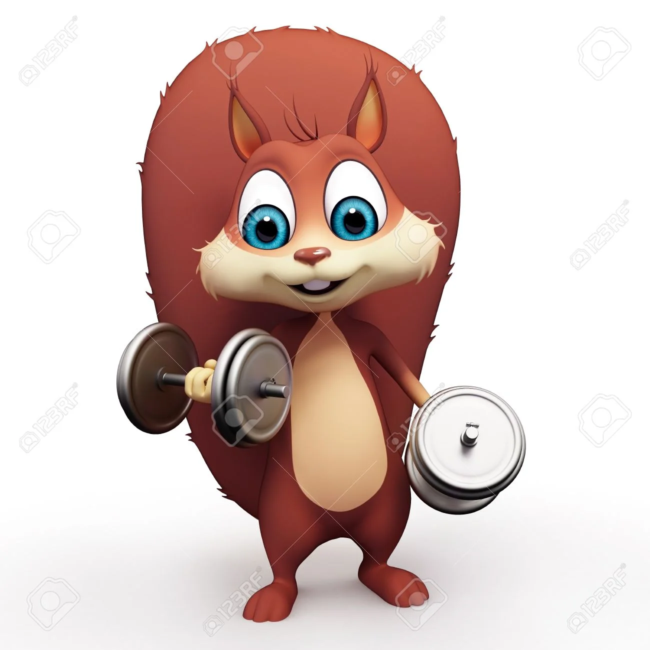 18731560-squirrel-isolated-on-white-background-Stock-Photo.webp