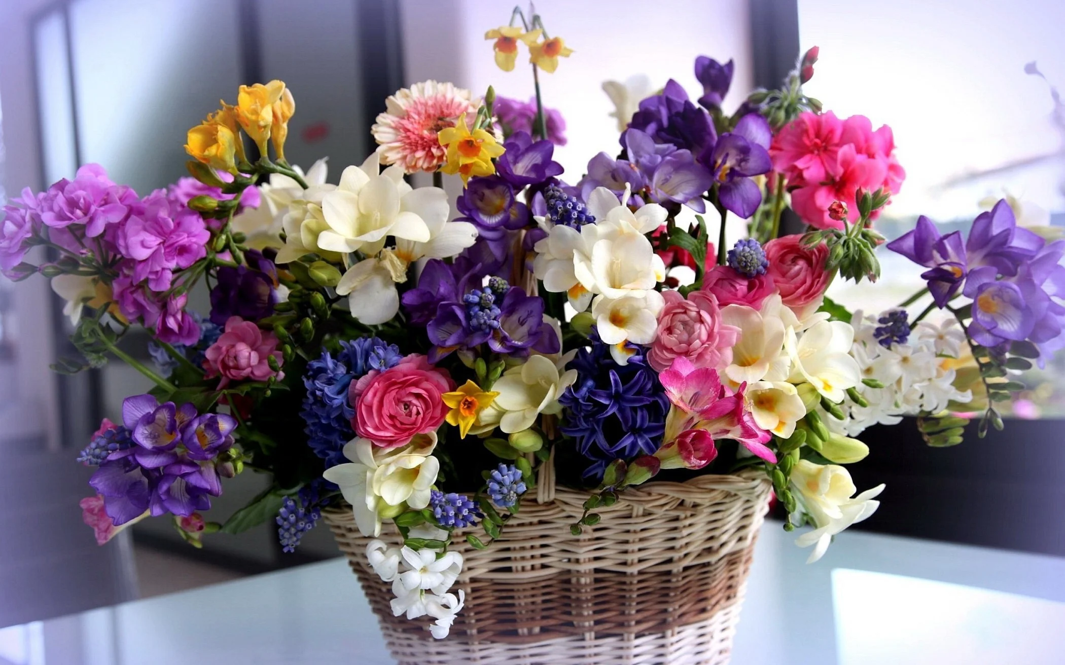 1881444.webp