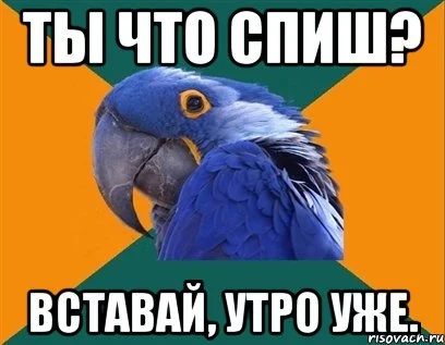 189428052_b7c761cbd99b0fb21c2df72fa22b5e57_800.webp