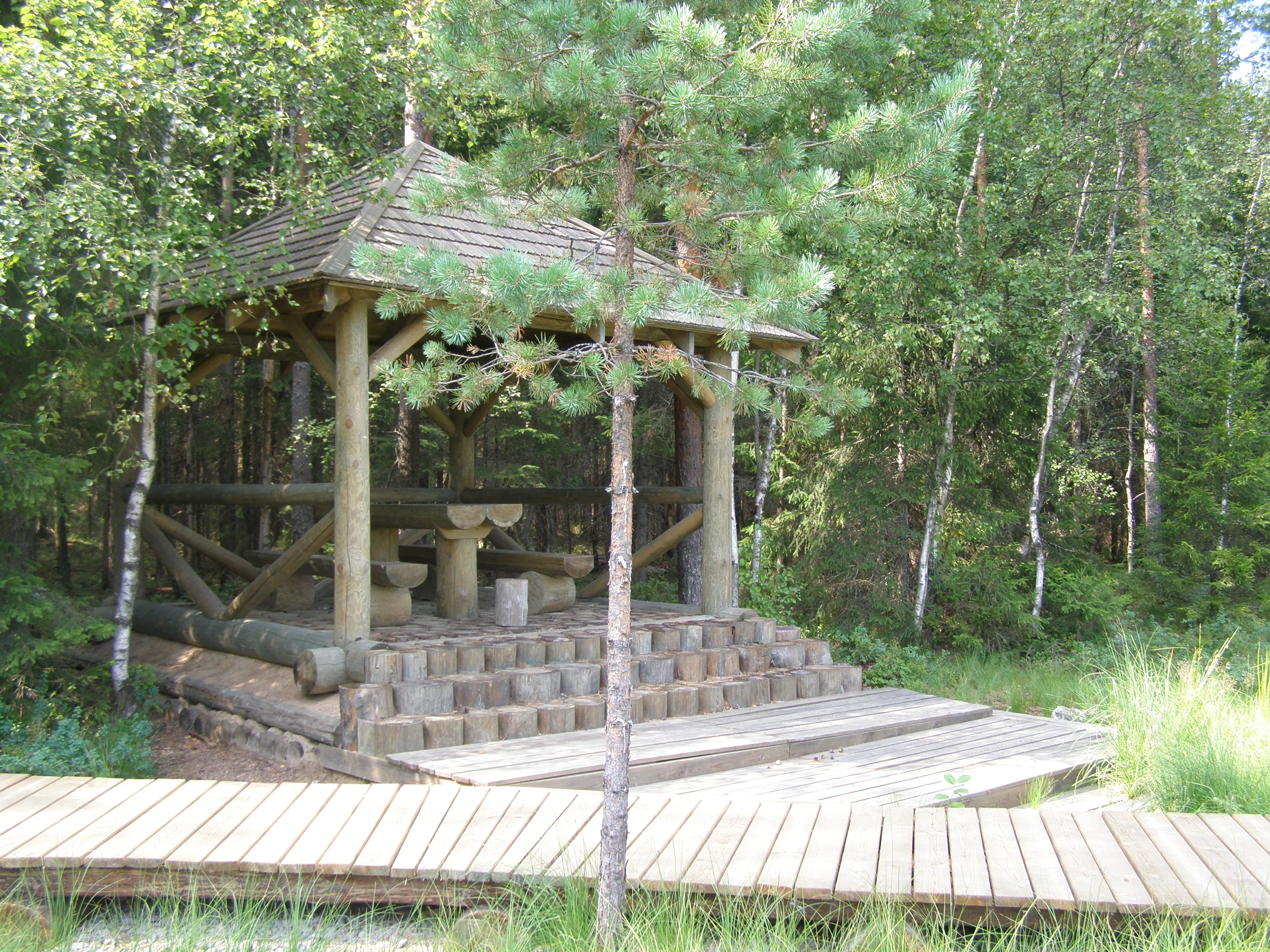 19.webp