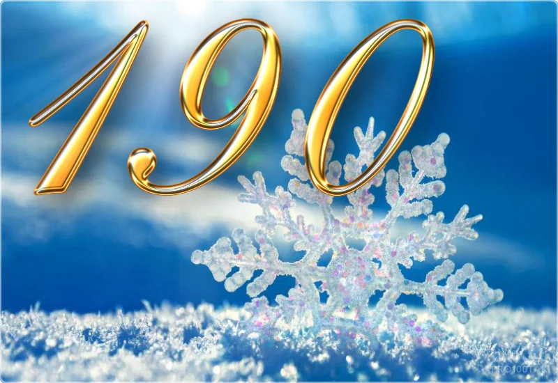 190 на снежинке.webp