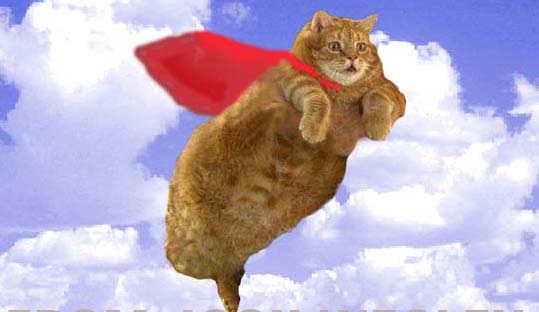 1909242-22980_flying_cat.jpg