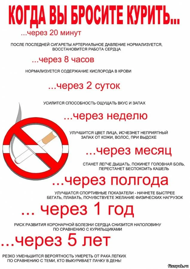 19189151.webp