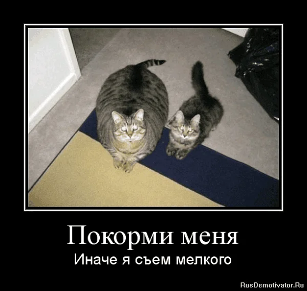193289.webp