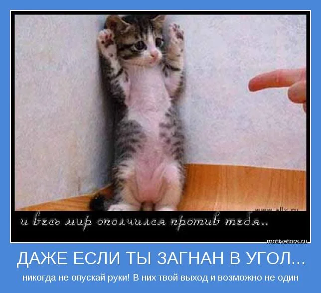 194223400021fe126fcb5eb0bac29c313e4b8f9ab5.webp