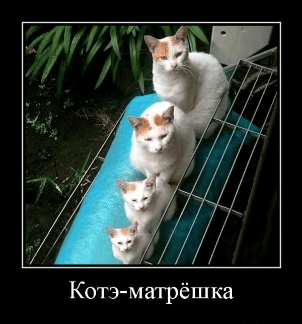 194308.webp
