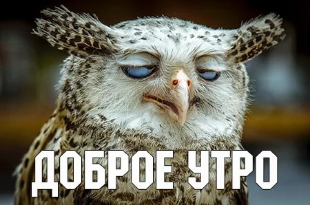 19732340190.webp