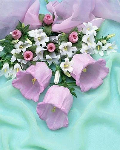 198.webp