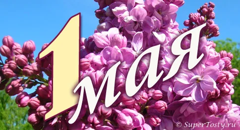 1_may_4.webp
