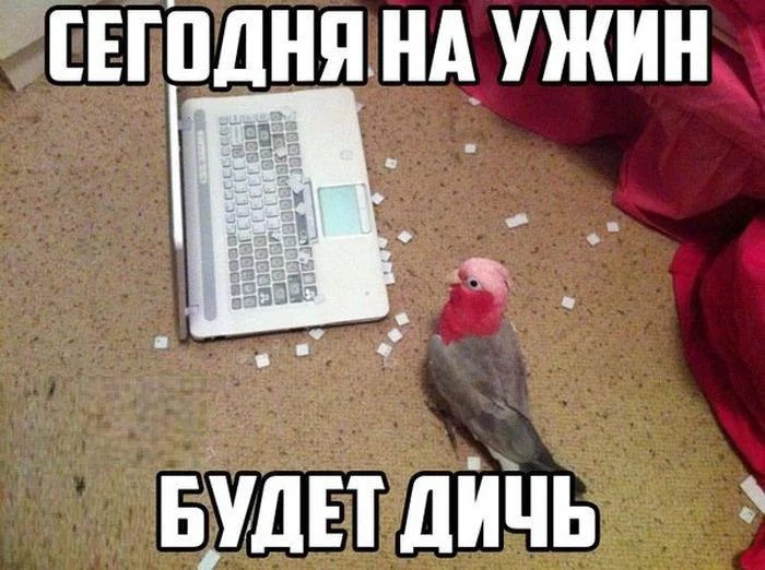 1_podborka_vecher_01.webp