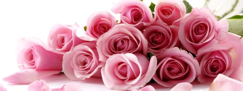 1_rqACTih.webp