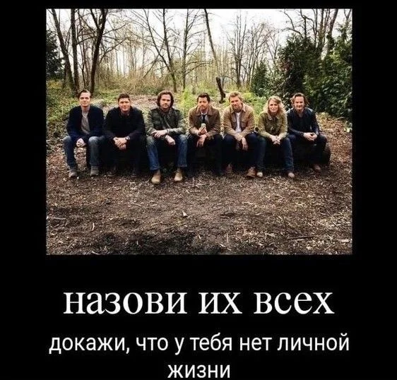 1a549f349bd3469a68b7229abf805452.webp