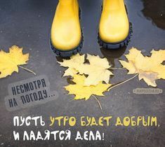 1a6f18e5dead78d9c2f5137b7b30afdc.jpg