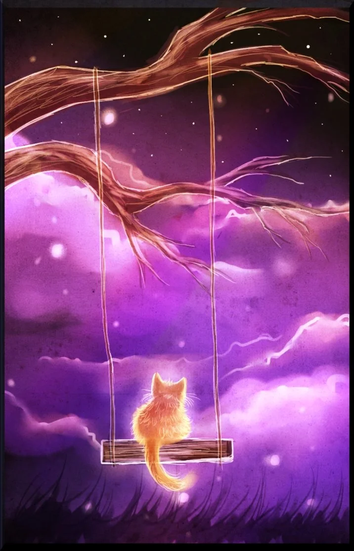 1c6295c91d8098f1245ff4d6fb744551--kitty-gif-night-stars (1).webp