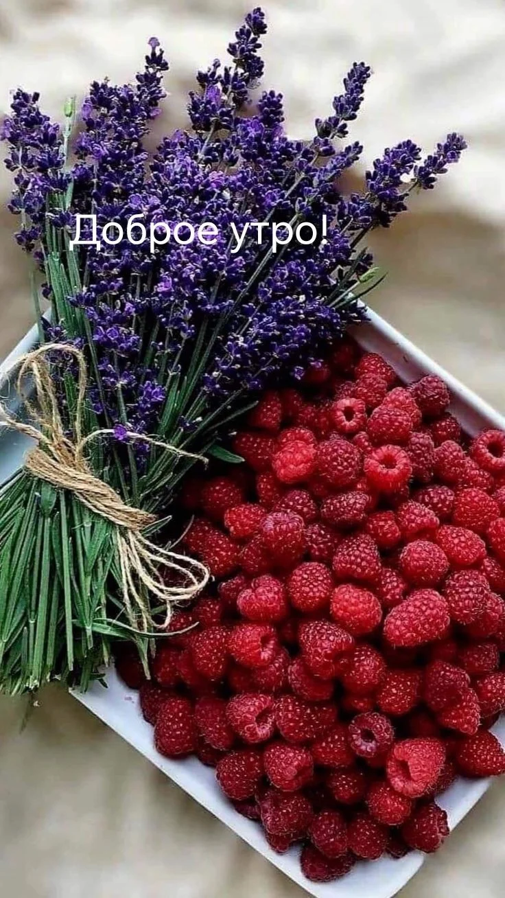 1d7463d8422c6ecfa11f4d9941769fbc.webp