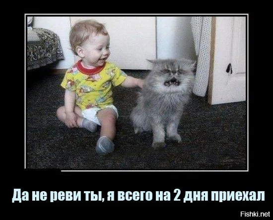 1dac0ed0307884070b44be6f67d54474.webp