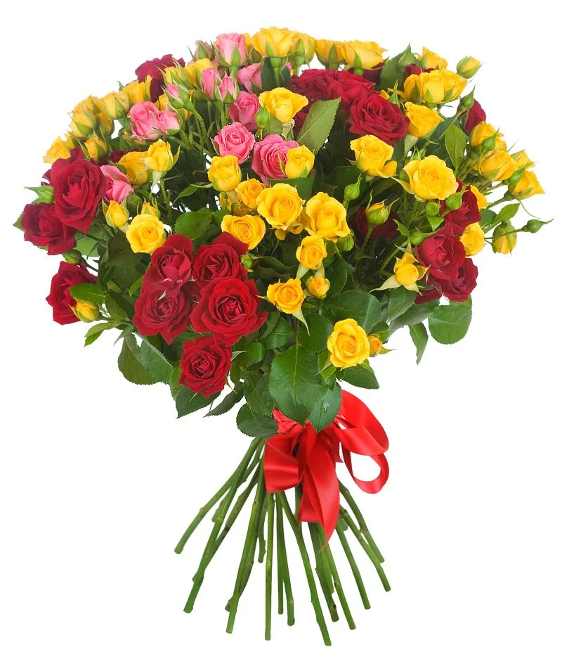 1dasjqf4.b3m.webp