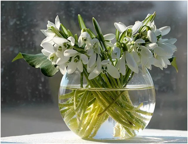 1df86b1b9439.webp