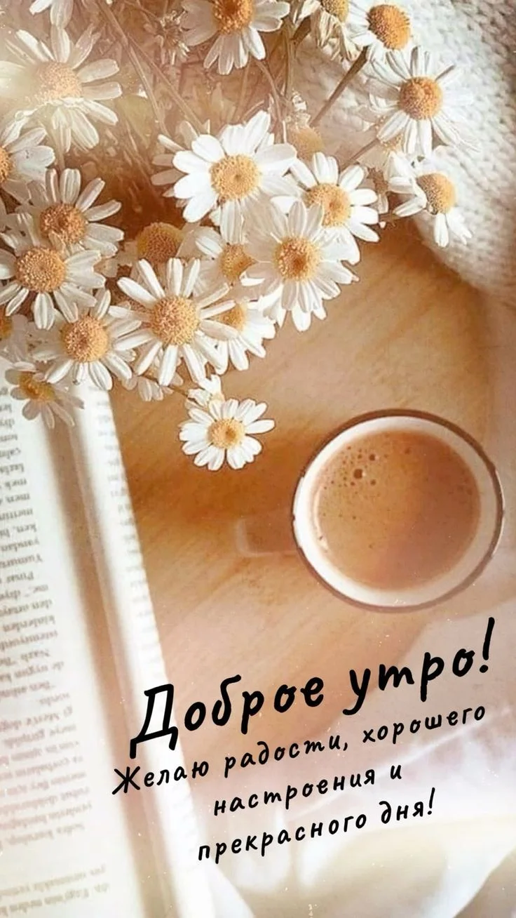 1e57a19b79bd45c9ee4f801756a56018.webp