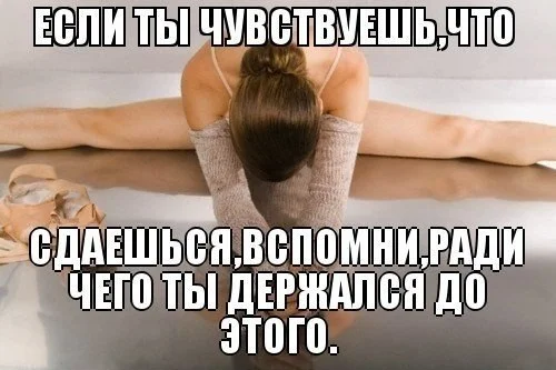 1egSpH9tMxA.webp