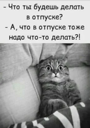 1fcf7a834409f9dc395c350b808b00c6 (1).webp