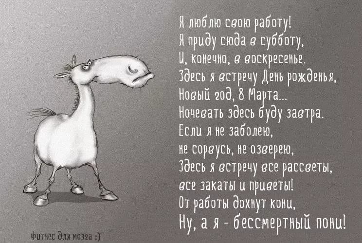 1ff6021ba3346425496e186ffce0c3a5 (1).jpg