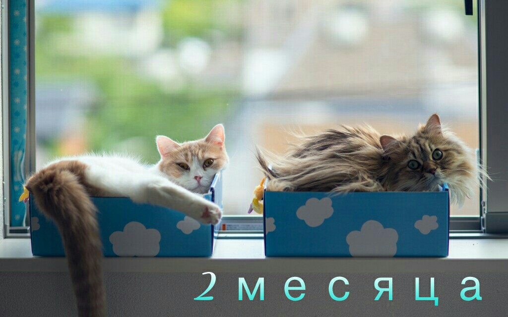 2-2мес.jpg