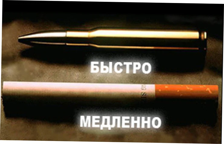2 (41).webp