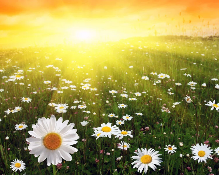 2 ____ ____ ________.webp