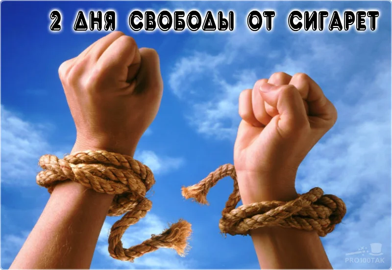 2 дня свободы.webp