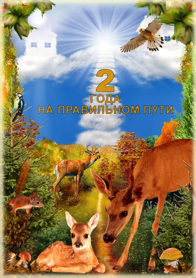 2 года.webp