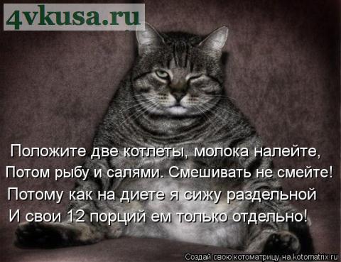 2 котлеты.jpg