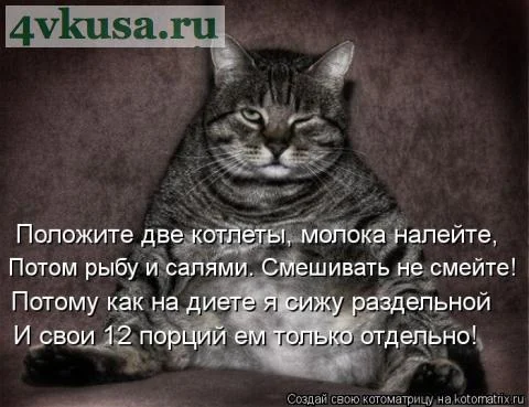 2 котлеты.webp