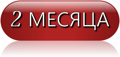 2 месяца.webp