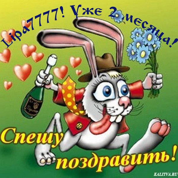2 месяца.webp