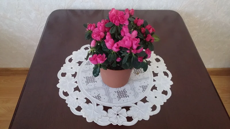 2 место Александр П.webp