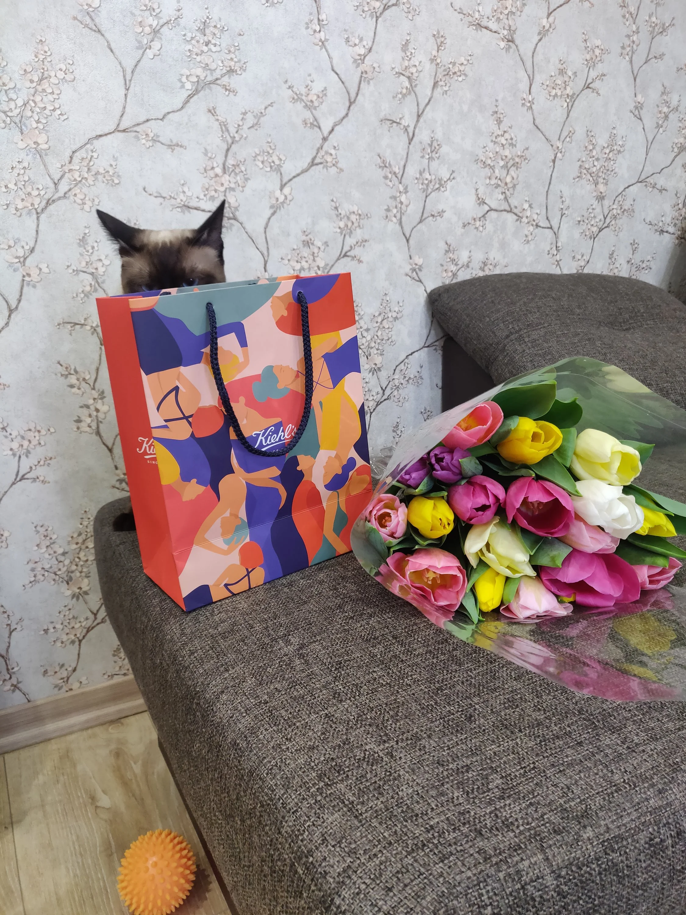 2 место Панкошечка.webp