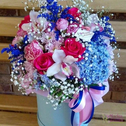 2 N61 A-500x500-product_list.webp