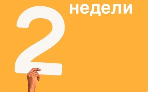 2 недели.webp