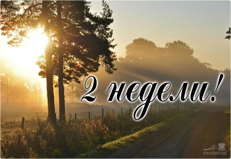 2 недели.webp