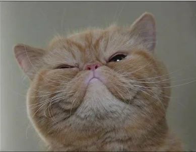 2 Screenshot_2015-02-07-21-16-17.webp