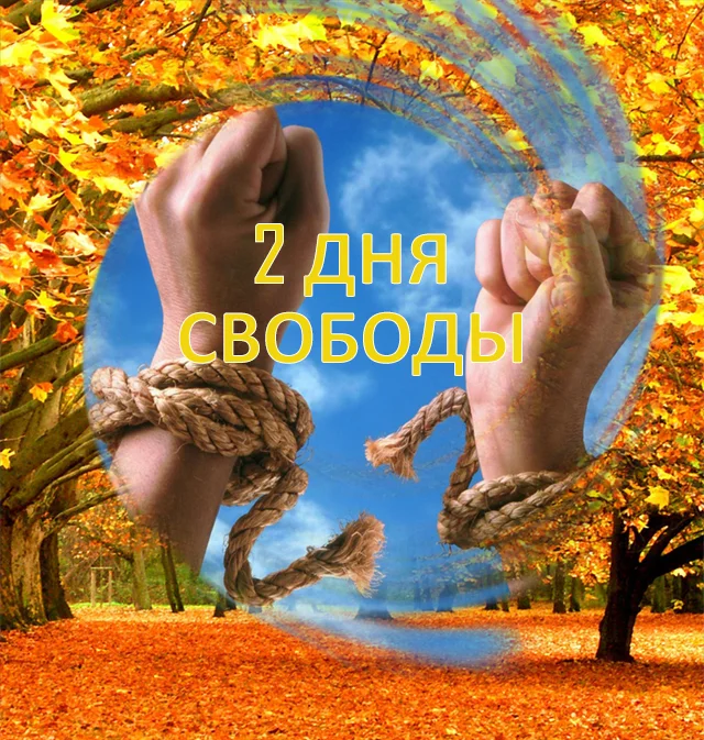 2.webp