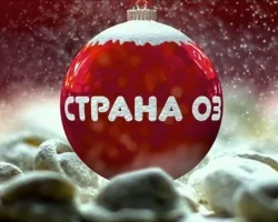 2-z1-1cc7eaae-e8f4-4872-b511-b8dd8de8b48b.webp